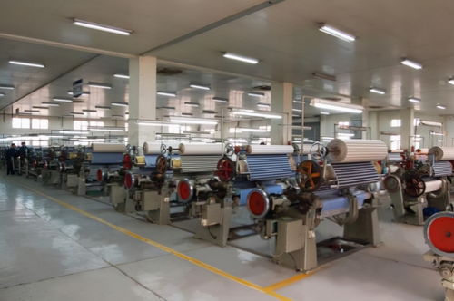 破浪前行 金輪針布業(yè)績增長30%背后的多維驅(qū)動(dòng)力